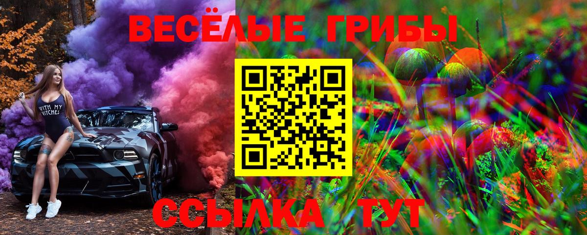 Псилоцибиновые грибы MAGIC MUSHROOMS  Вход с VPN  Когалым 