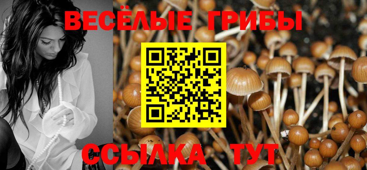 Псилоцибиновые грибы Magic Shrooms Когалым