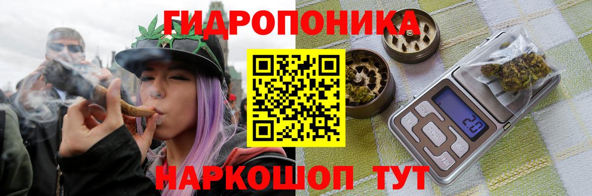 Марихуана White Widow  Марихуана план  Вход с VPN  Бошки Шишки гибрид  Когалым 
